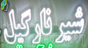 شیر نارگیل