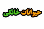 تابلو ال ای دی حیوانات خانگی