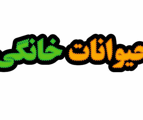 تابلو ال ای دی حیوانات خانگی